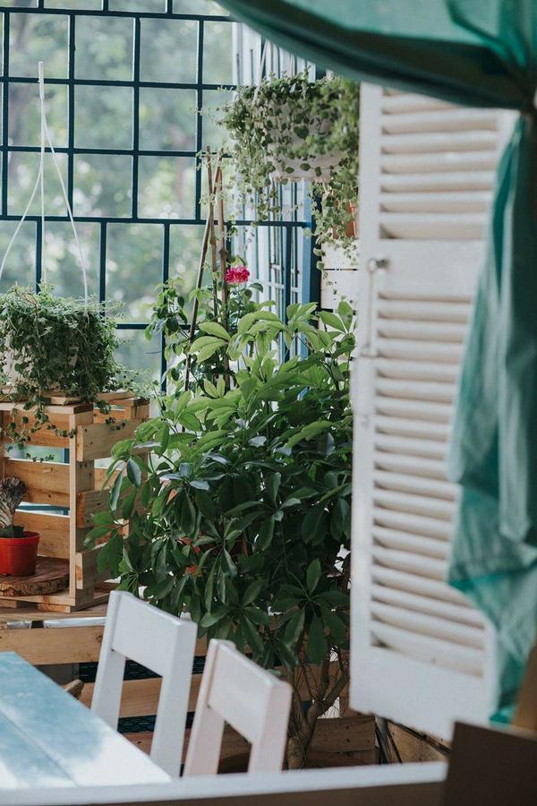 Momento Boutique House 1 Hostel Hanoi Exterior foto